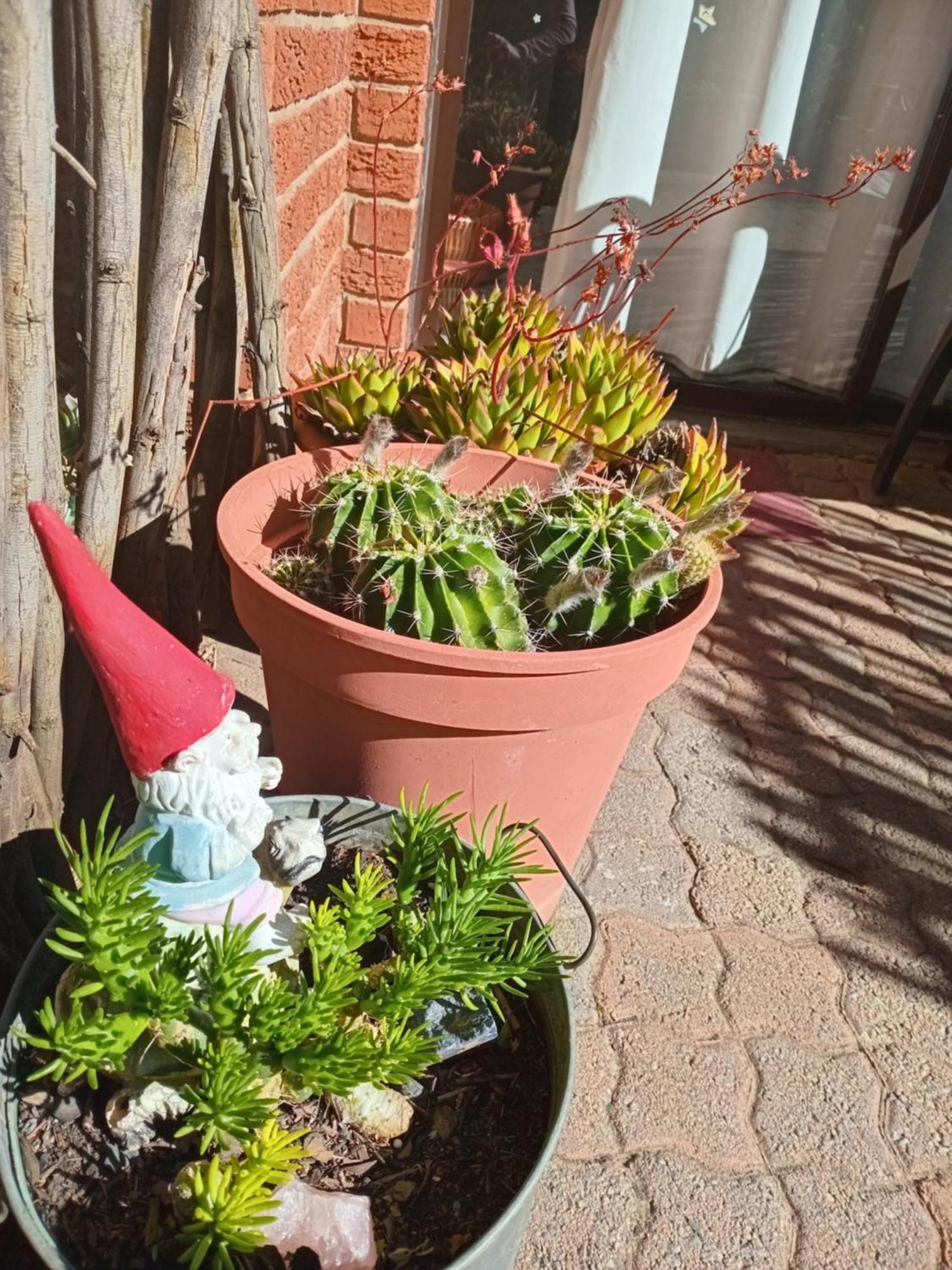 Amani Guest House Кларенс Екстериор снимка