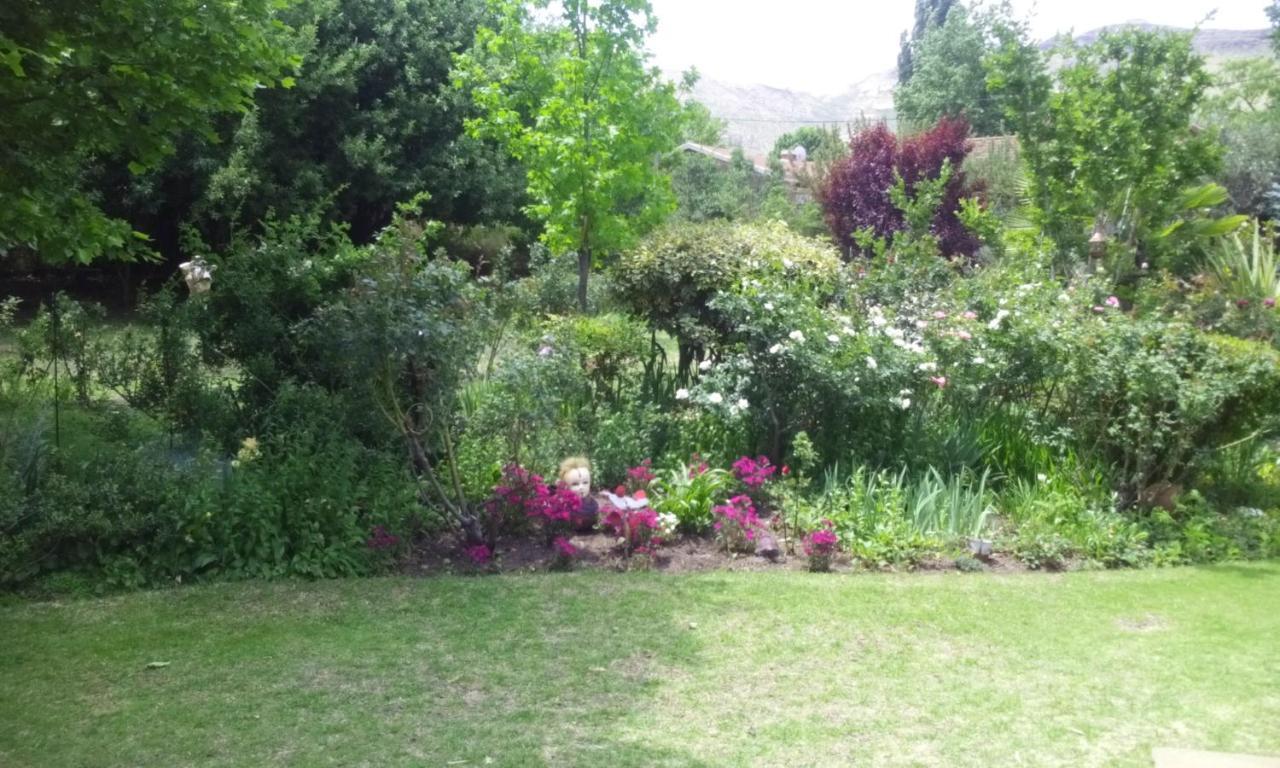 Amani Guest House Кларенс Екстериор снимка